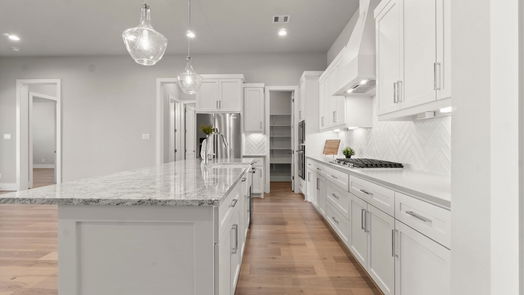 Montgomery 1-story, 4-bed 25104 Grace Vista Way-idx
