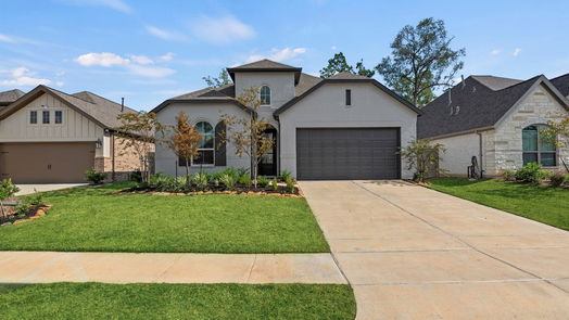 Conroe 1-story, 4-bed 17183 Wild Robin Lane-idx