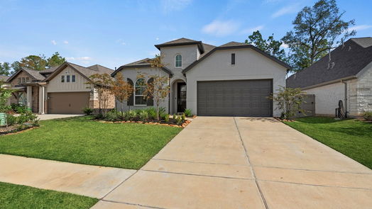 Conroe 1-story, 4-bed 17183 Wild Robin Lane-idx