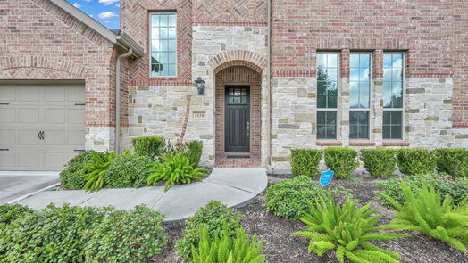 Conroe 2-story, 4-bed 1038 Bat Hawk Court-idx