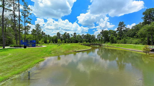 Conroe 2-story, 5-bed 8442 Horsepen Bend Drive-idx