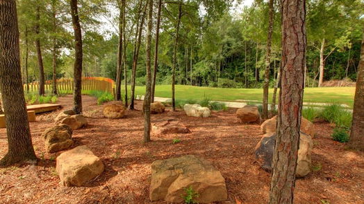 Conroe 1-story, 4-bed 17936 Calico Hills Drive-idx