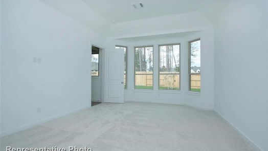 Conroe 2-story, 4-bed 16379 Placid Stream Street-idx