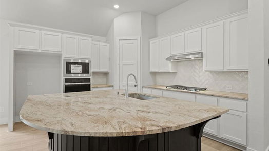 Conroe 1-story, 4-bed 13024 Wandering Ridge Lane-idx