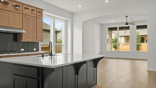 Conroe 1-story, 4-bed 964 Terlingua Creek Drive-idx