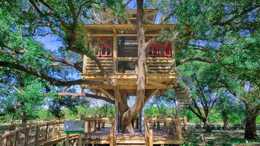 Cypress 1-story, 4-bed 18442 Palmetto View Drive-idx