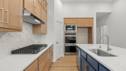 Cypress 1-story, 4-bed 21211 Electric Light Trail-idx