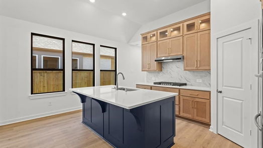 Cypress 1-story, 4-bed 21211 Electric Light Trail-idx