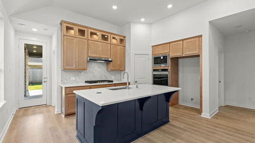 Cypress 1-story, 4-bed 21211 Electric Light Trail-idx