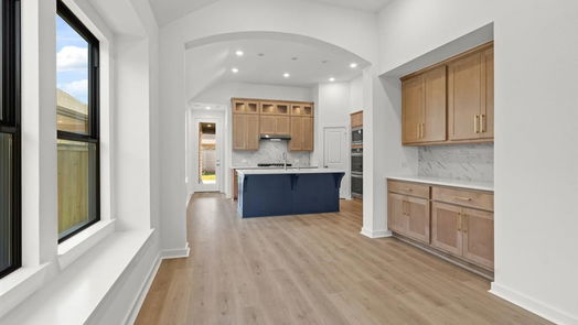 Cypress 1-story, 4-bed 21211 Electric Light Trail-idx