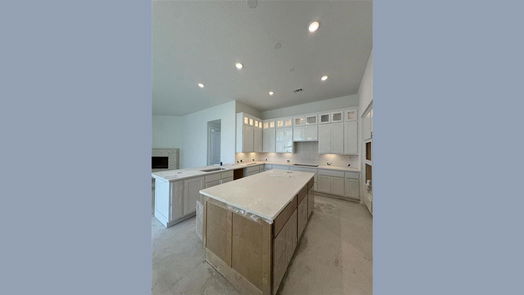 Fulshear 1-story, 4-bed 30538 Cheyenne Place Court-idx