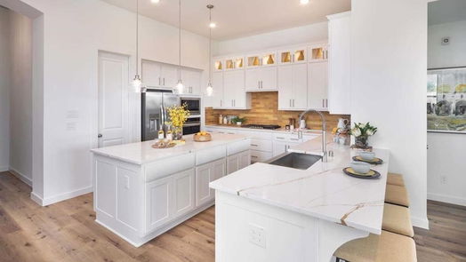 Fulshear 1-story, 4-bed 30538 Cheyenne Place Court-idx