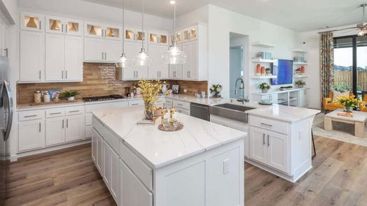 Fulshear 1-story, 4-bed 30538 Cheyenne Place Court-idx