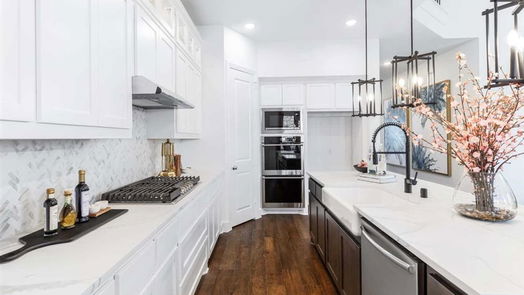 Iowa Colony 2-story, 4-bed 4910 Matador Lane-idx