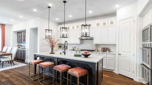 Iowa Colony 2-story, 4-bed 4910 Matador Lane-idx