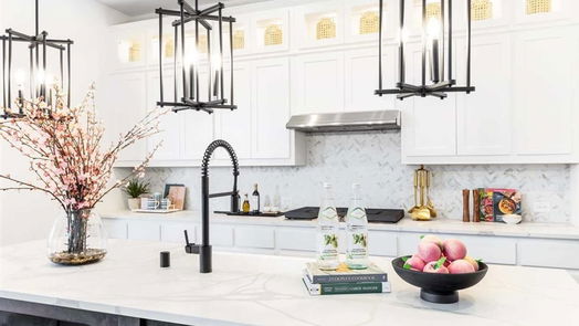 Iowa Colony 2-story, 4-bed 4910 Matador Lane-idx