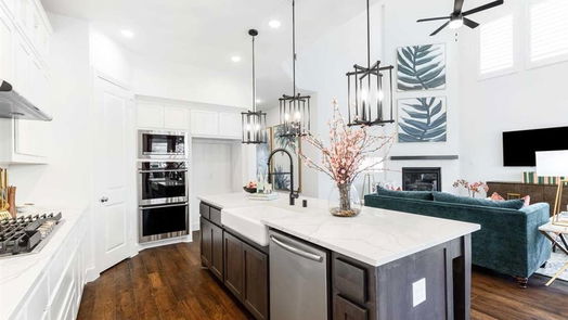 Iowa Colony 2-story, 4-bed 4910 Matador Lane-idx