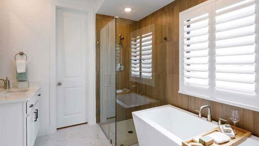 Manvel 2-story, 4-bed 2447 Mission Heights Way-idx