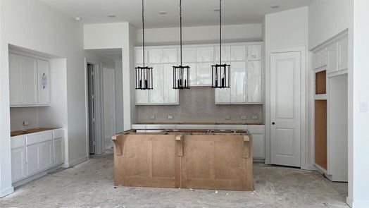 Manvel 1-story, 4-bed 10211 Bison-idx