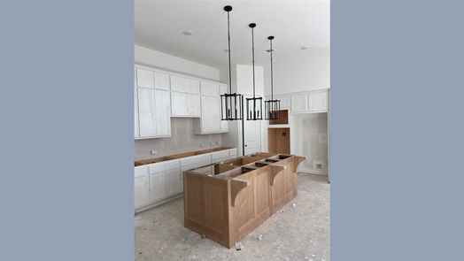 Manvel 1-story, 4-bed 10211 Bison-idx