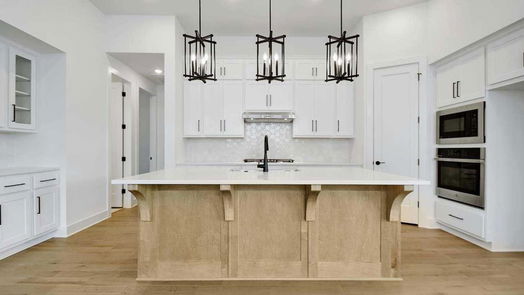 Manvel 1-story, 4-bed 10211 Bison-idx