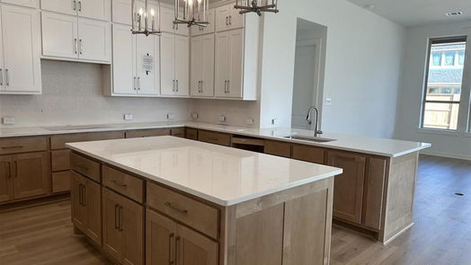 Manvel 1-story, 4-bed 5806 Silver Perch Lane-idx