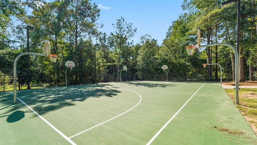 Montgomery 2-story, 3-bed 312 Tangle Birch Court-idx