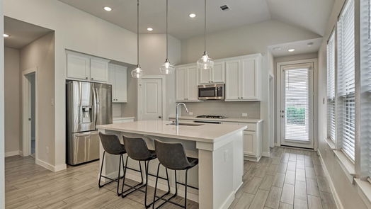 Montgomery null-story, 4-bed 126 Vine Mint Drive-idx