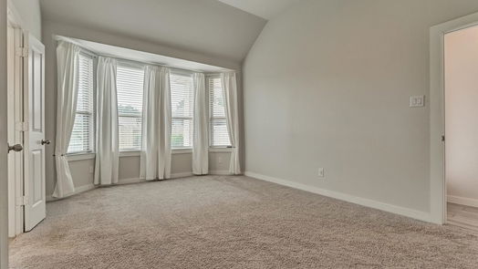 Montgomery null-story, 4-bed 126 Vine Mint Drive-idx