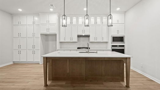 Montgomery 2-story, 3-bed 425 Meadows Peak Lane-idx