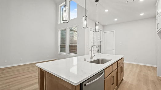 Montgomery 2-story, 3-bed 425 Meadows Peak Lane-idx