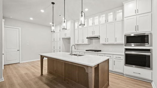 Montgomery 2-story, 3-bed 425 Meadows Peak Lane-idx