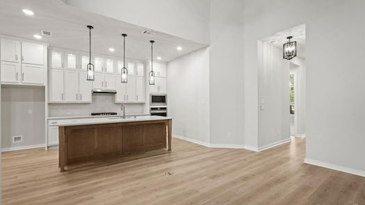 Montgomery 2-story, 3-bed 425 Meadows Peak Lane-idx