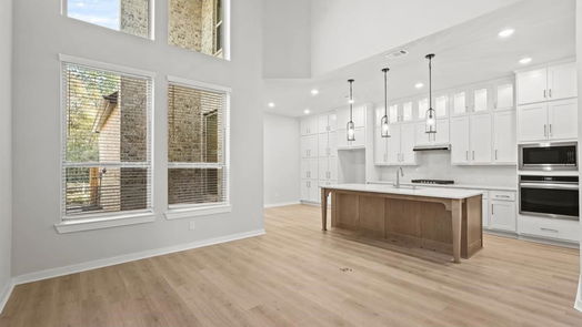 Montgomery 2-story, 3-bed 425 Meadows Peak Lane-idx