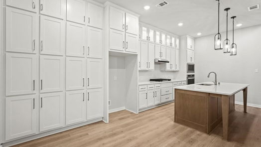 Montgomery 2-story, 3-bed 425 Meadows Peak Lane-idx