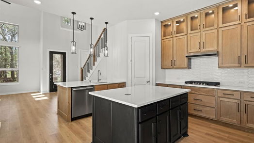 Montgomery 2-story, 4-bed 421 Meadows Peak Lane-idx