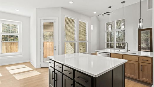 Montgomery 2-story, 4-bed 421 Meadows Peak Lane-idx