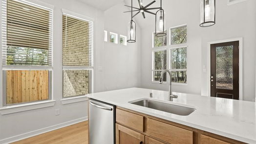 Montgomery 2-story, 4-bed 421 Meadows Peak Lane-idx