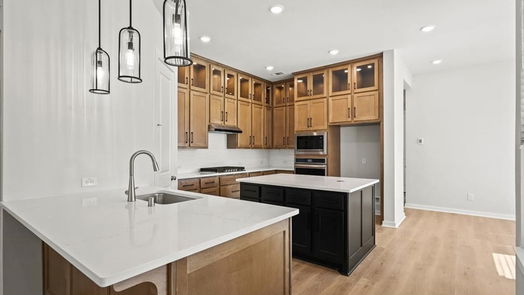 Montgomery 2-story, 4-bed 421 Meadows Peak Lane-idx