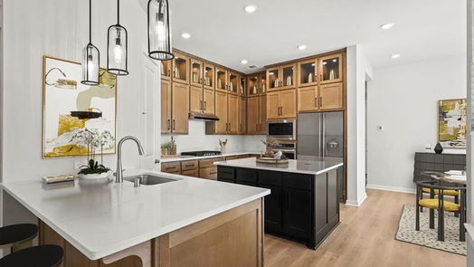 Montgomery 2-story, 4-bed 421 Meadows Peak Lane-idx