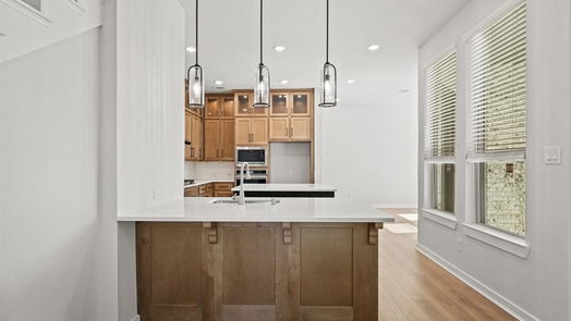 Montgomery 2-story, 4-bed 421 Meadows Peak Lane-idx