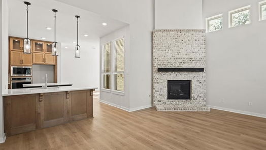 Montgomery 2-story, 4-bed 421 Meadows Peak Lane-idx