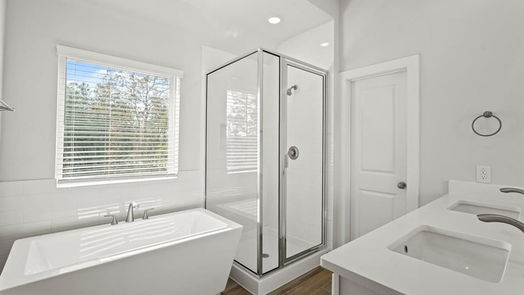 Montgomery 2-story, 4-bed 421 Meadows Peak Lane-idx