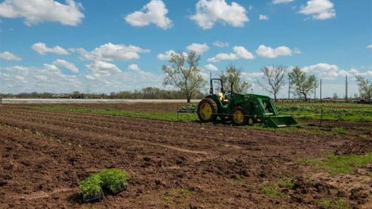 Richmond 2-story, 4-bed 2226 Fresh Flower Way-idx