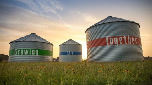 Richmond 2-story, 4-bed 2226 Fresh Flower Way-idx