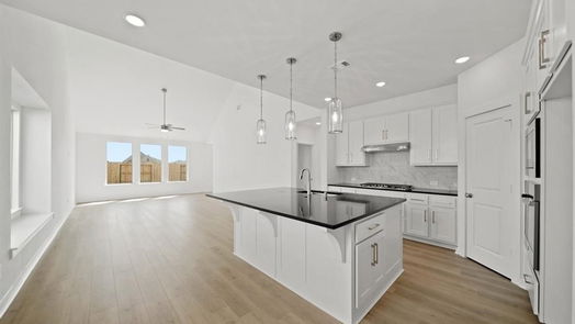 Rosenberg 2-story, 4-bed 5031 Bowen Prairie Drive-idx