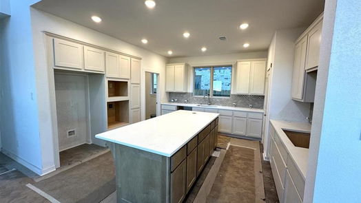 Rosenberg 2-story, 4-bed 5002 Cedar Sage Drive-idx