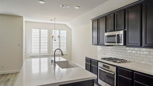 Spring 1-story, 4-bed 29526 Water Willow Trace Drive-idx