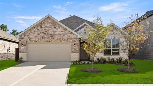 Tomball null-story, 4-bed 20810 Brown Sativa Trail-idx