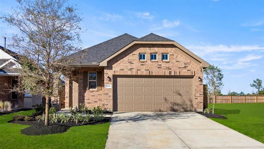 Tomball 1-story, 3-bed 20918 Carob Tree Lane-idx